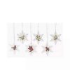 Home * | Wholesale Roman Club Pack Of 12 And Green Cardinal On Snowflake Christmas Ornaments 4 White